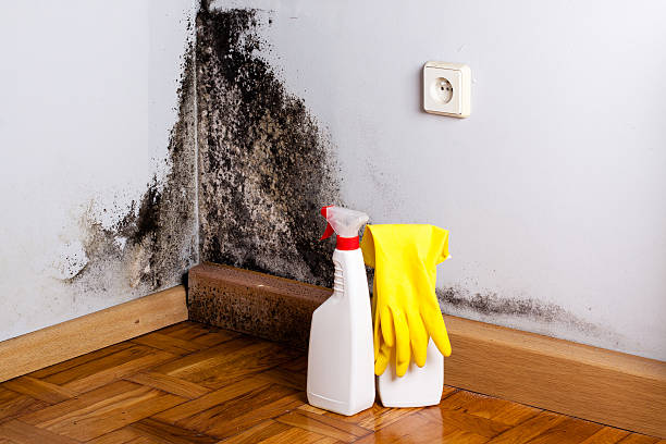 Best Biohazard Mold Removal  in Lyman, SC